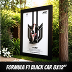 Formula 1 Apex